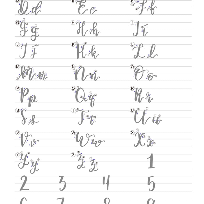 Hand Lettering Guides