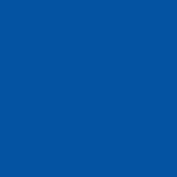 CALLIGRAPHY MARKER blue